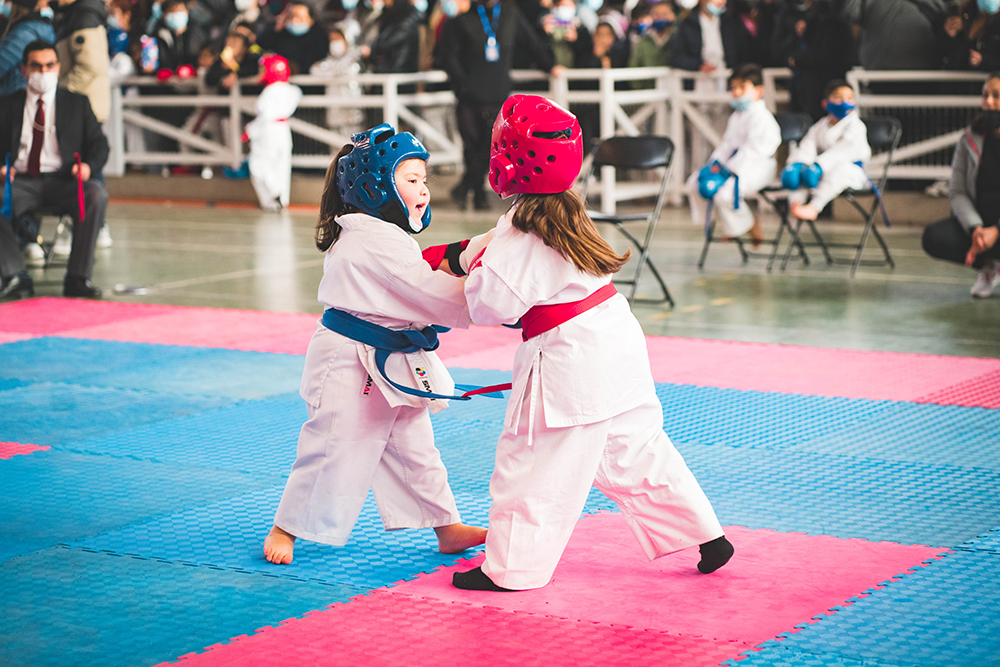 Karate en la Copa Kaizendo