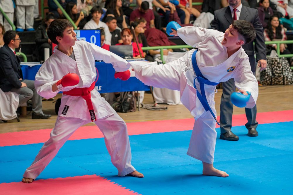 Torneo de Karate: Open de Estrellas