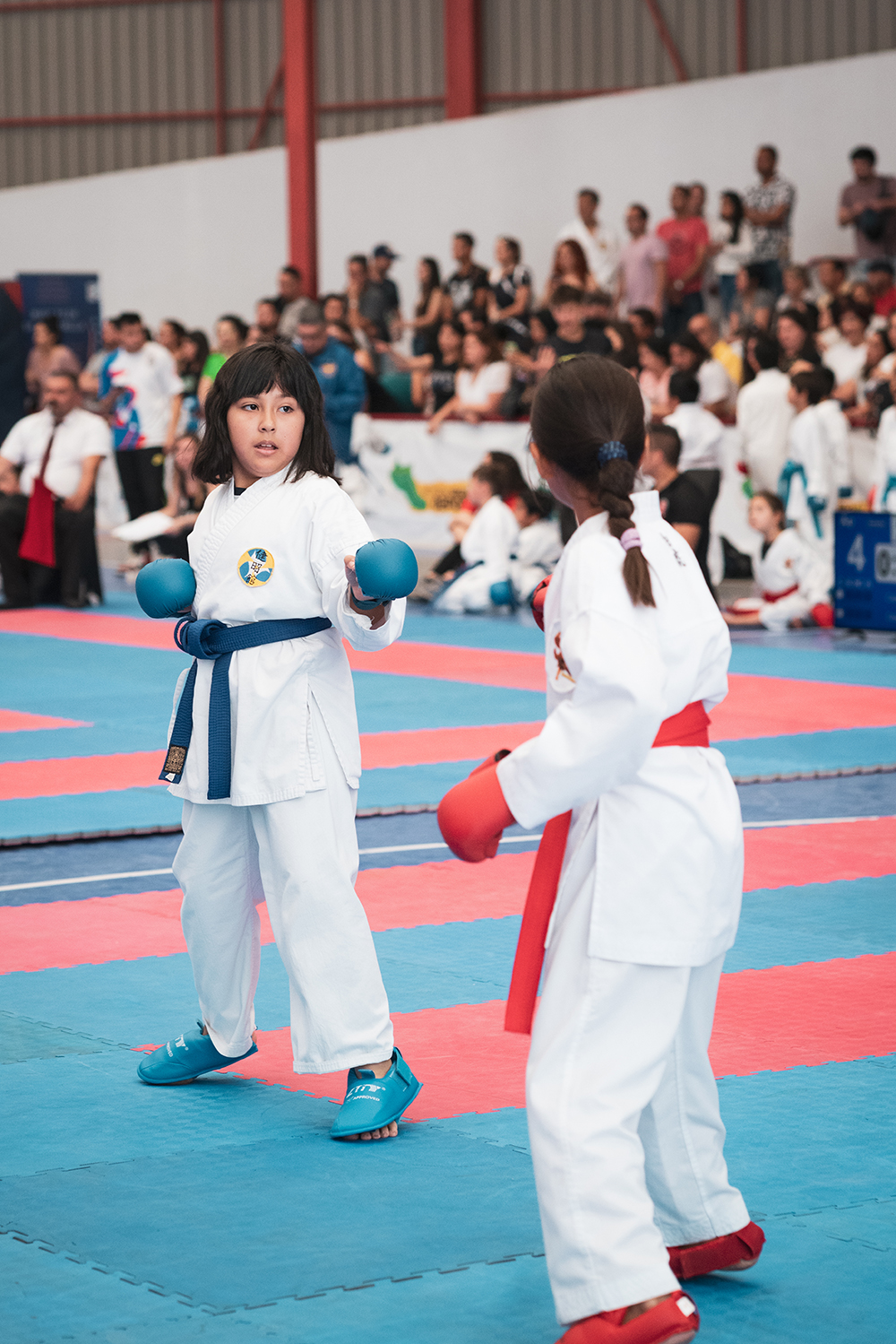 Torneo de Karate en Colina