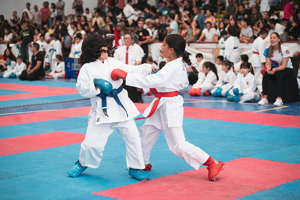 Torneo de Karate en Colina