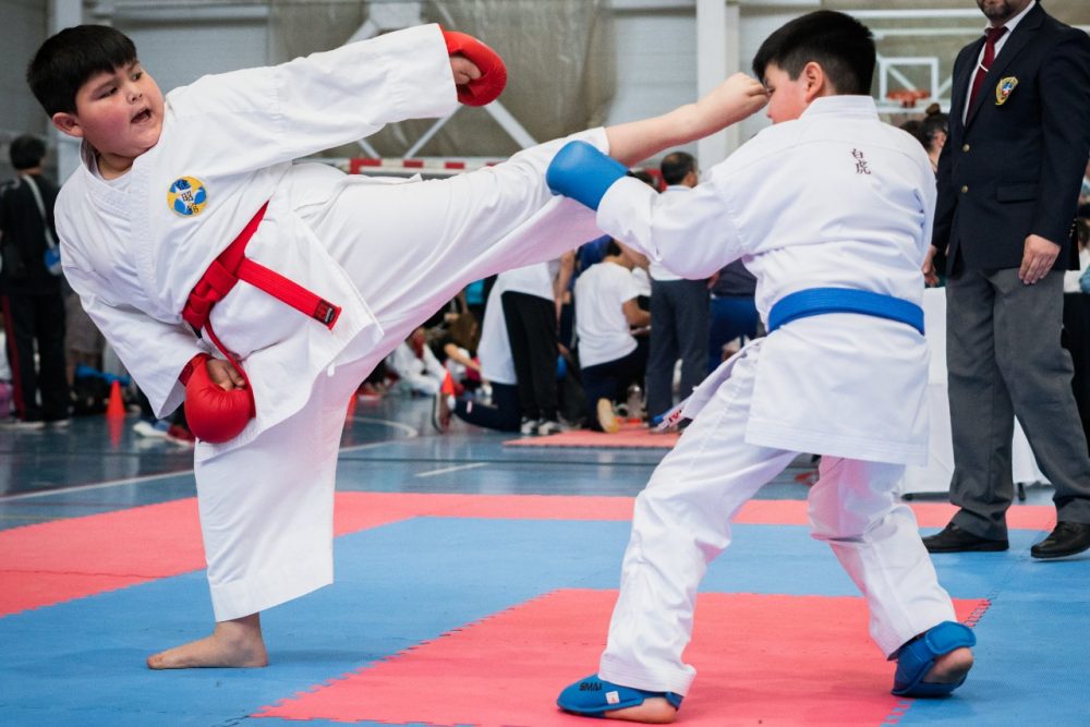 Taller de Karate en la Copa Raion